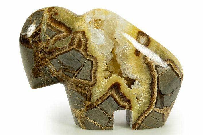 Calcite-Filled Polished Septarian Bison - Utah #344810